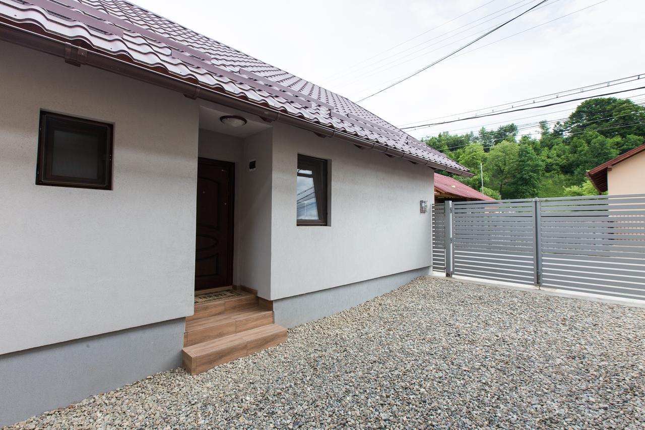 Vişeu de Sus Casa Kisヴィラ エクステリア 写真