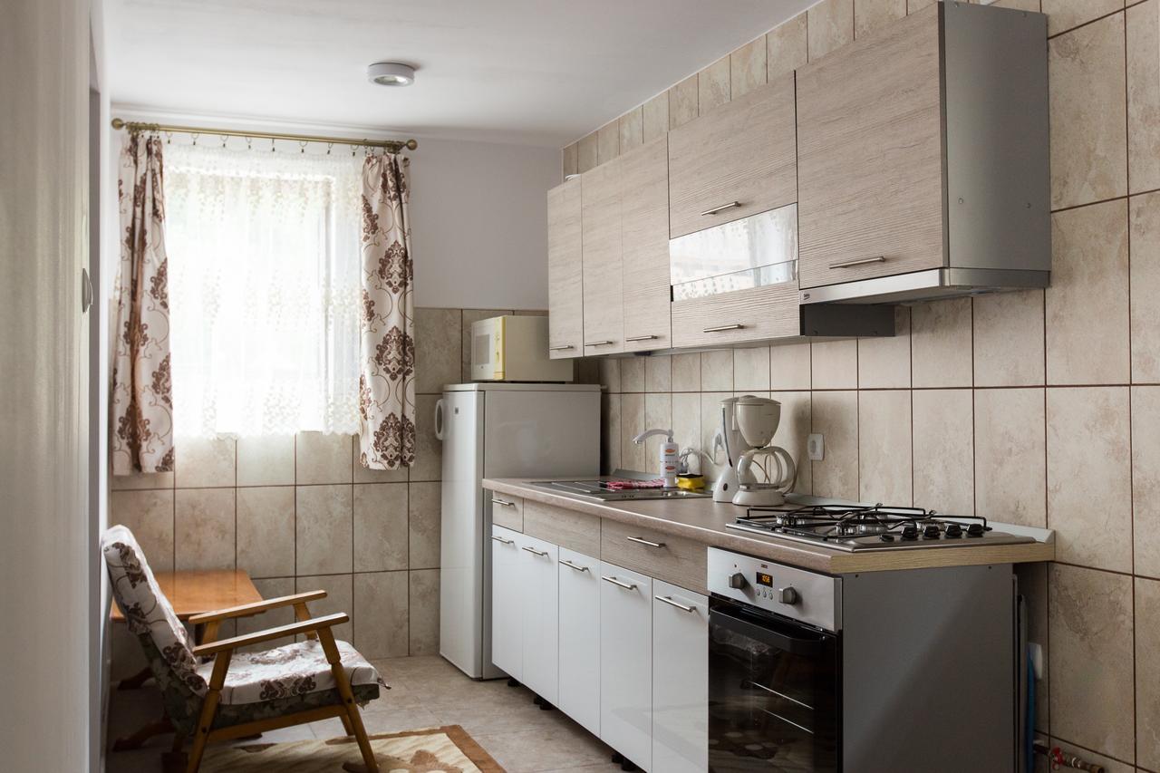Vişeu de Sus Casa Kisヴィラ エクステリア 写真