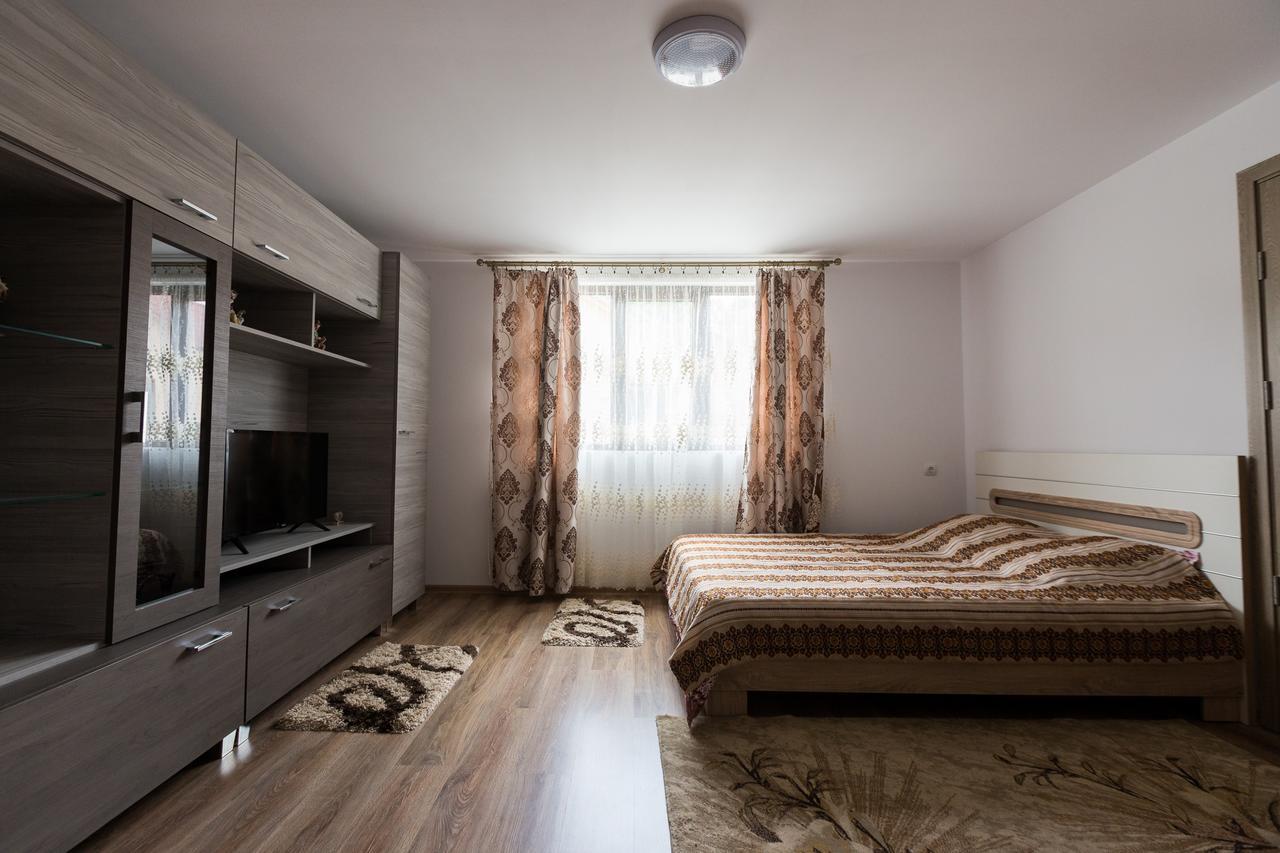 Vişeu de Sus Casa Kisヴィラ エクステリア 写真