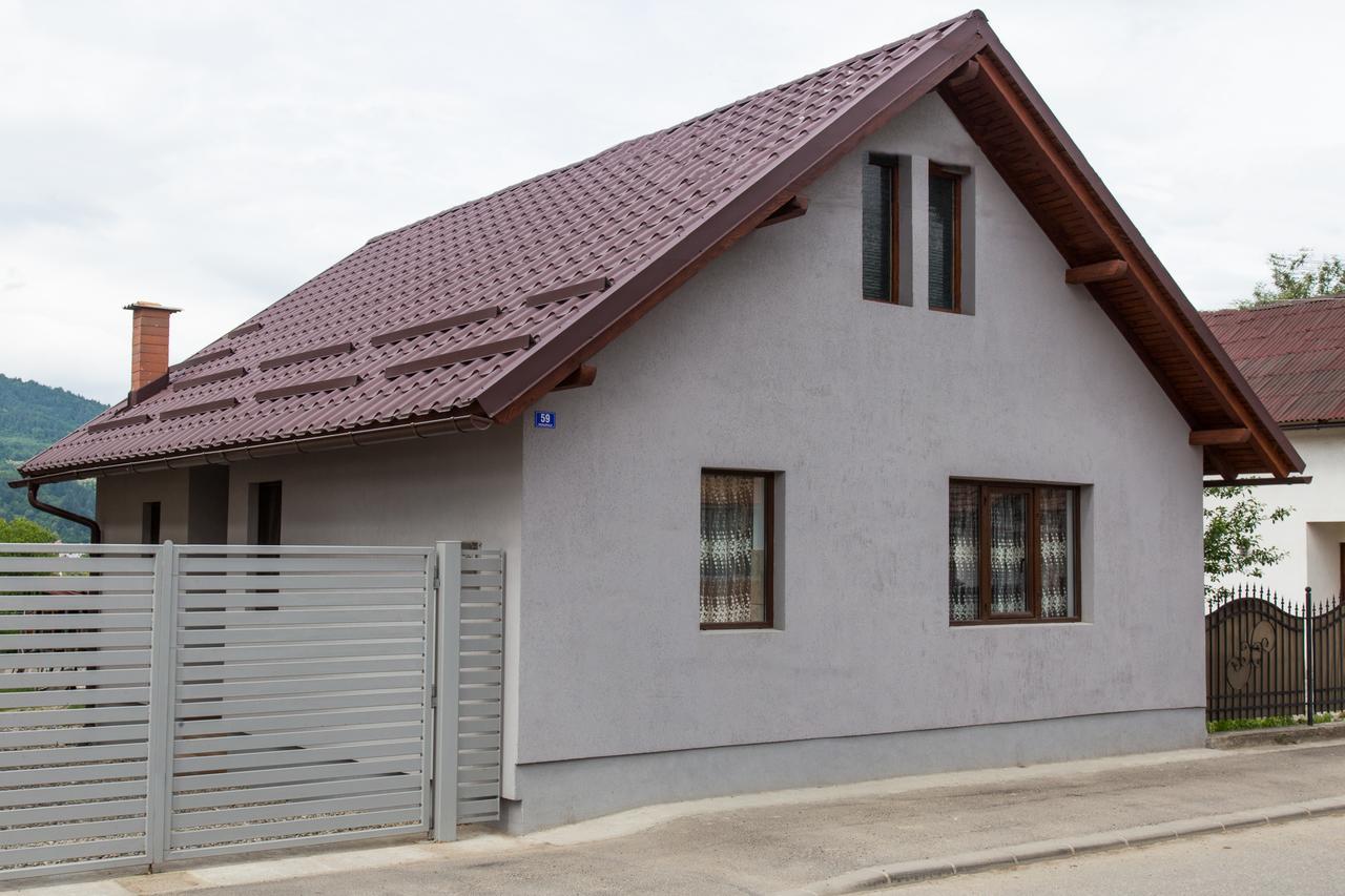 Vişeu de Sus Casa Kisヴィラ エクステリア 写真